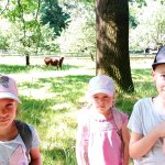 phoca_thumb_m_vlet 3b Fotogalerie